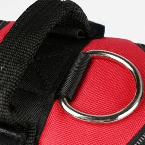 Detixy Dog Harness - Petifo