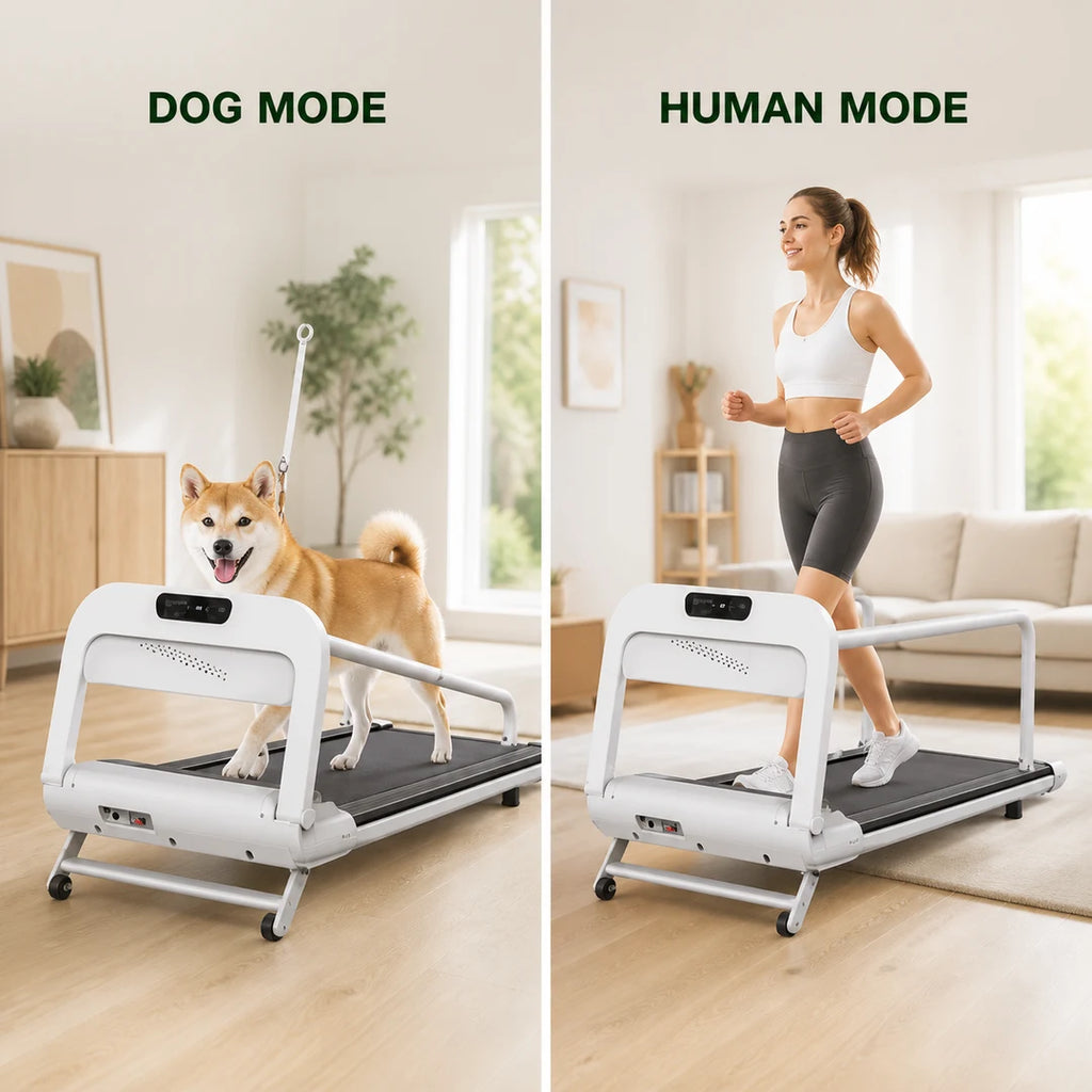 Modes tapis de course 2-en-1 pour chien et humain