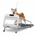 Tapis de course pliable pour chien avec un chien en marche