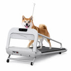 Tapis de course pliable pour chien avec un chien en marche