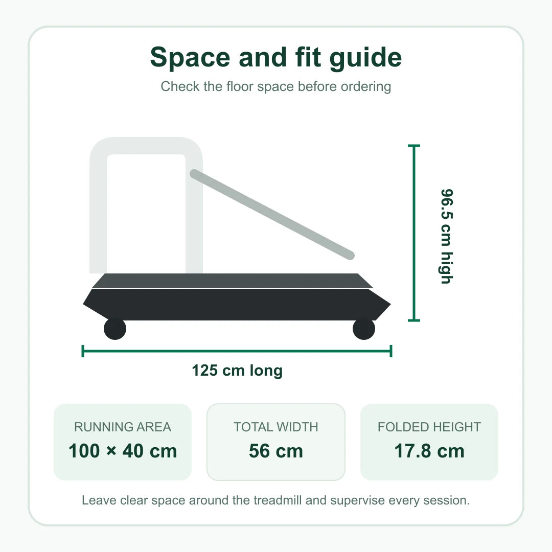 Dimensions du tapis pour chien et de la surface de course