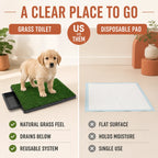 Toilettes réutilisables en gazon pour chien comparées à une alèse jetable