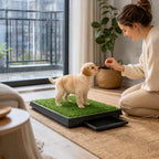 Chiot apprenant à utiliser des toilettes d’intérieur en gazon