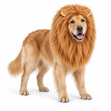 Crinière de lion pour chien