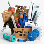 Mystery Box - Petifo