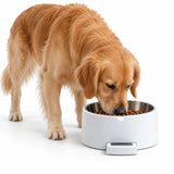 Bol pour animaux UpFeed Pro avec balance